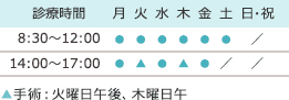 診療時間8:30-12:00 14:00-17:00	手術：火曜日午後、木曜日午 休診日:土曜午後・日･祝