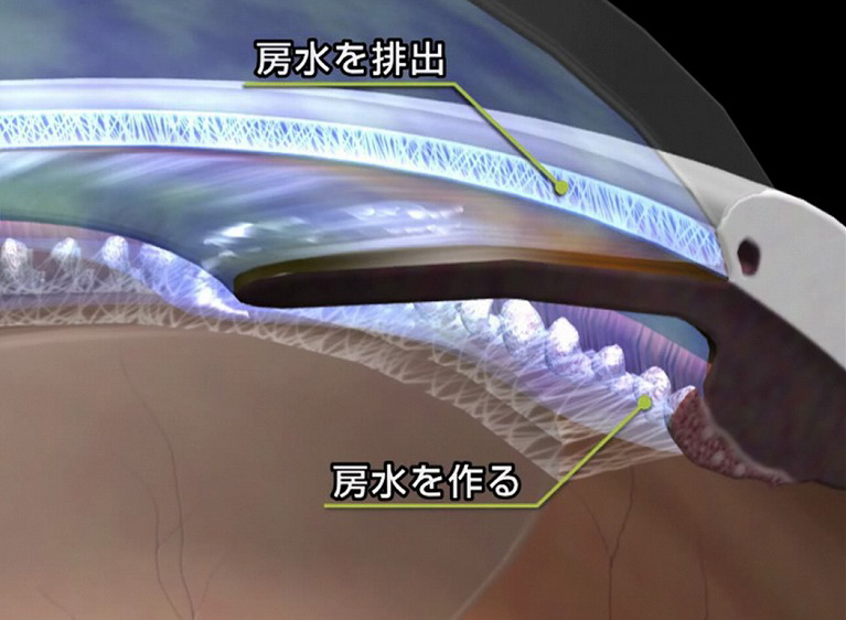 房水の仕組み