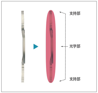 Tri-Fix3点固定構造による優れた眼内安定性